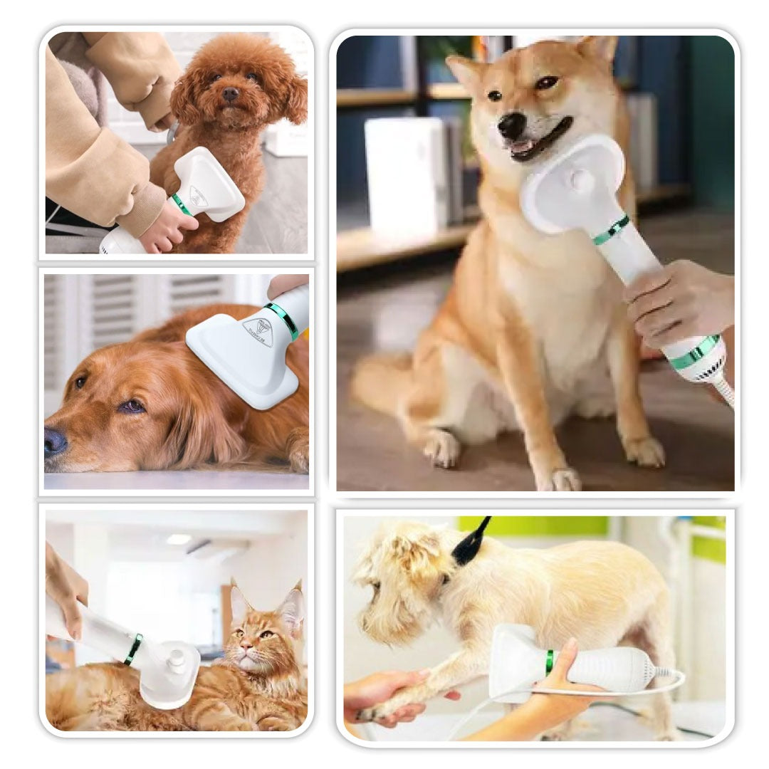 2-in-1 Pet Hair Dryer & Brush | 60% OFF